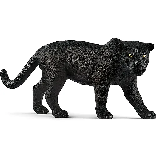 Schwarzer Panther Schwarz
