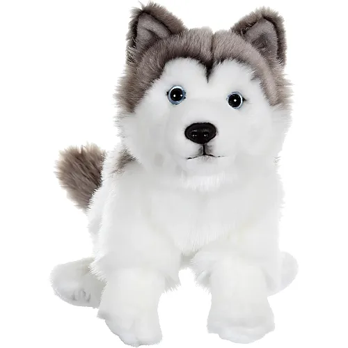 Husky 25cm