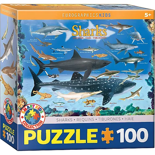 Sharks / Haie 100Teile