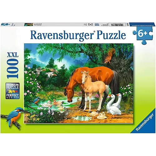 Ravensburger Puzzle Idylle am Teich - 100 Teile