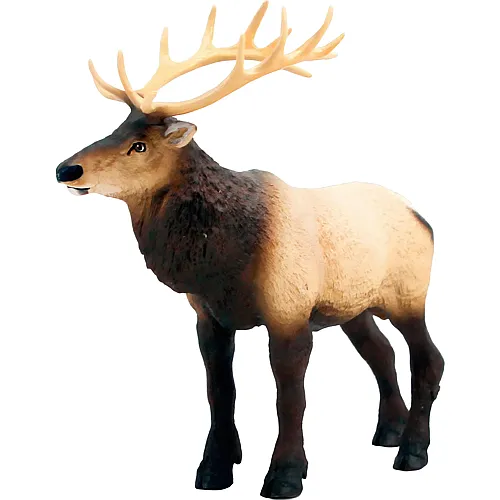 Safari Ltd. Wildlife Elch
