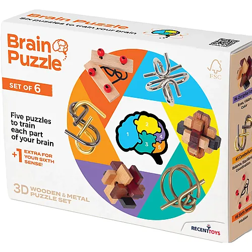 Brain Puzzle set of 6