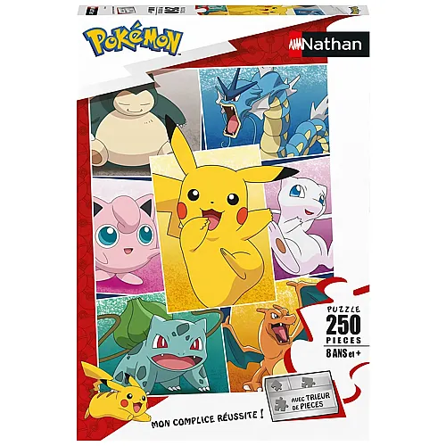 Pokemon 250Teile