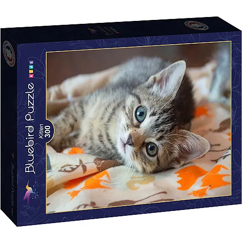 Bluebird Puzzle Kids K�tzchen - 300 Teile