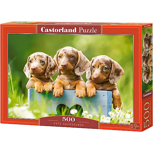 Castorland Puzzle Ssse Dackel (500Teile)