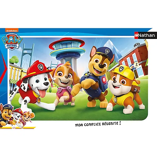 Die Paw'Patrol Welpen 15Teile