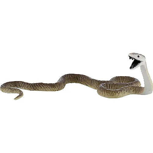 Schwarze Mamba