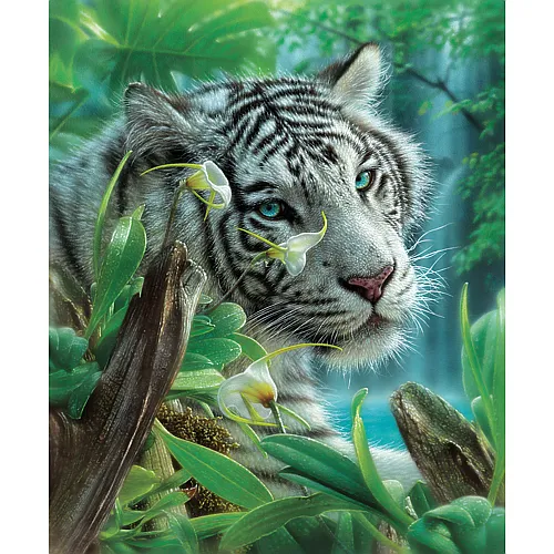 SunsOut Puzzle White Tiger of Eden - 1000 Teile