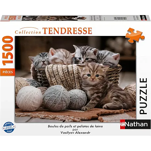 K�tzchen 1500Teile