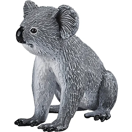 Mojo Wildlife Koala