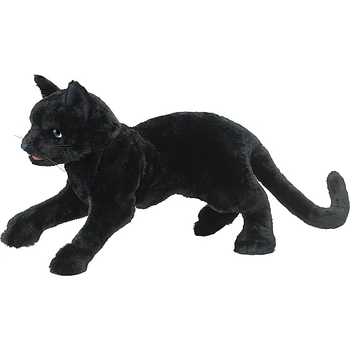 Folkmanis Handpuppe Schwarze Katze (30cm)