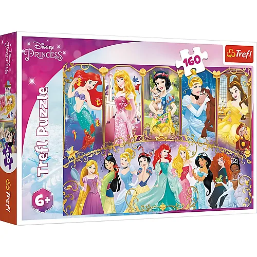 Disney Princess 160Teile