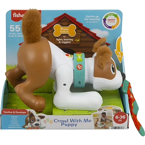 Fisher-Price - 123 Crawl With Me Puppy-DU
