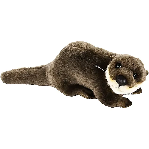 Teddys Rothenburg Otterbaby - 24 cm