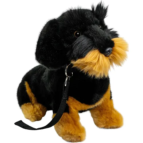 Carl Dick Dachshund sitzend mit Leine - 30 cm