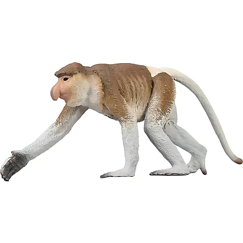 CollectA Wild Life Nasenaffe
