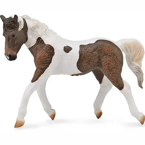 CollectA Horse Country Curly Stute