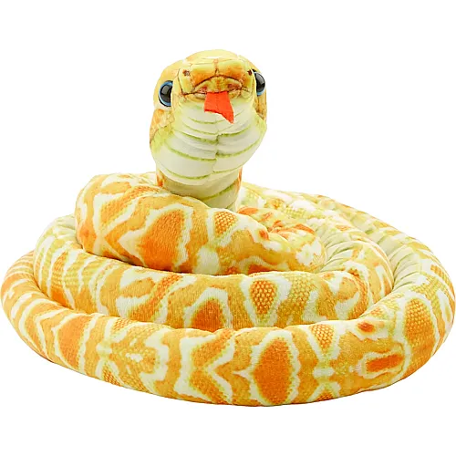 Gelbe Maisnatter - 180 cm