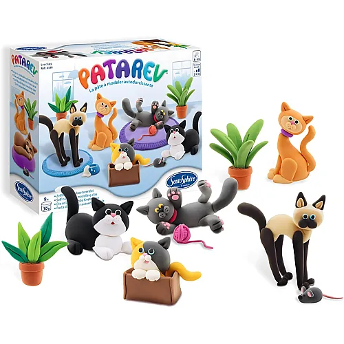 Set Die Katzen