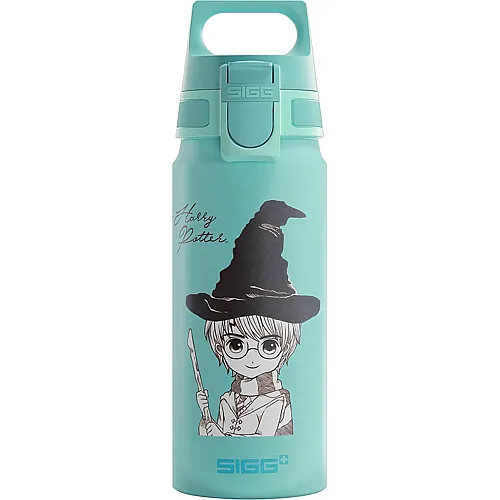 Alu Trinkflasche Harry Potter 600ml