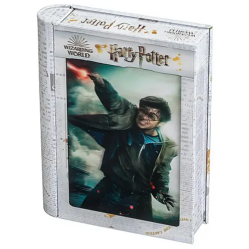 Philos 3D Puzzle Harry Potter in Sammlerbox (300Teile)