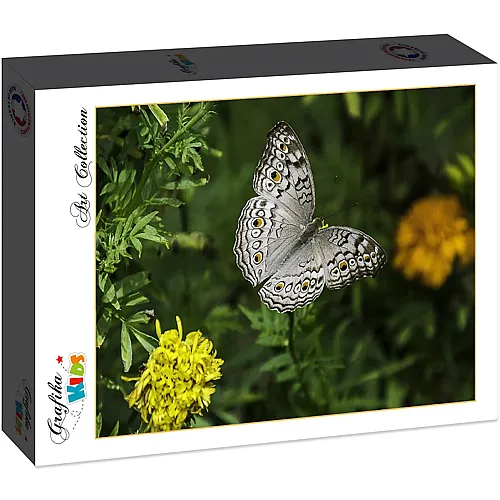 Grafika Puzzle Art Collection Grafika Kids Schmetterling - 12 Teile
