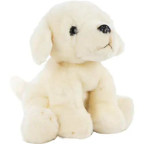 Barrado Labrador Retriever Creme - 25 cm