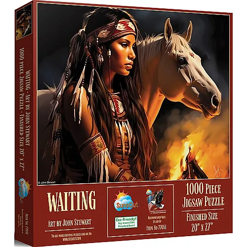 SunsOut Puzzle John Stewart Warten - 1000 Teile