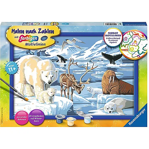 Ravensburger Malen nach Zahlen Farbige Motivlinien Tiere der Arktis