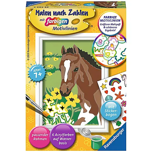 Ravensburger Malen nach Zahlen Farbige Motivlinien Fohlen