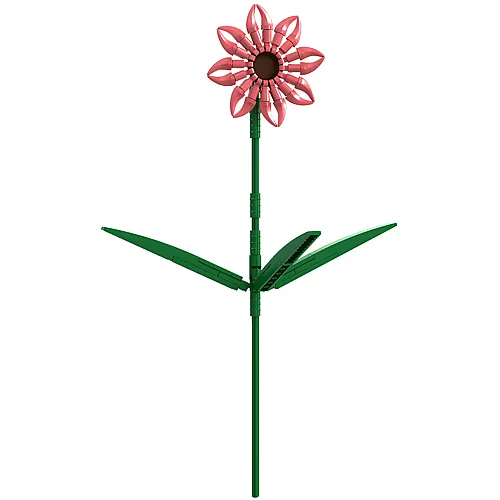 Gerbera Lachs - 61 Teile