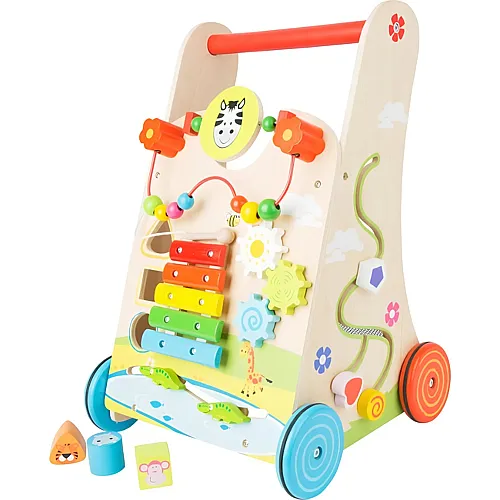 Carrello primi passi Multicolore