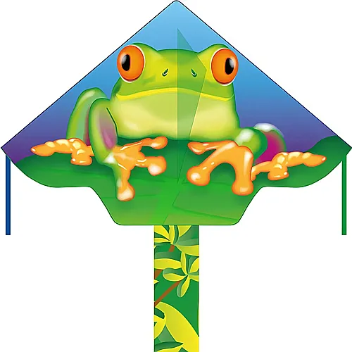 Kinderdrachen Simple Flyer Froggy