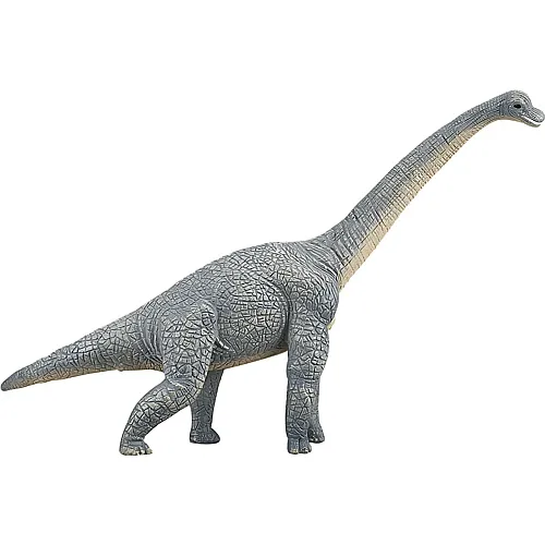 Mojo Dinosaurs Brachiosaurus