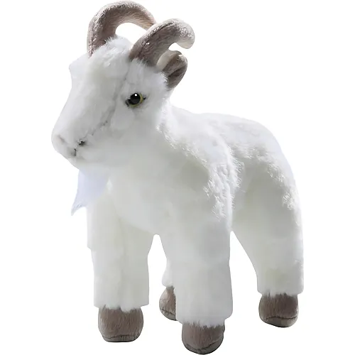 Carl Dick Ziege Weiss - 22 cm