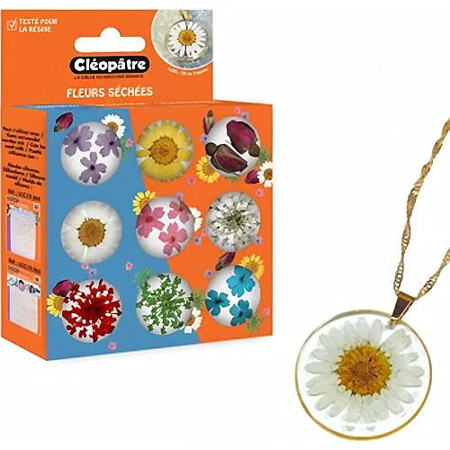 Cleopatre Box Mit 9 T�pfen Getrockneten Blumenzubeh�rs