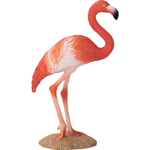 Mojo Wildlife Amerikanischer Flamingo