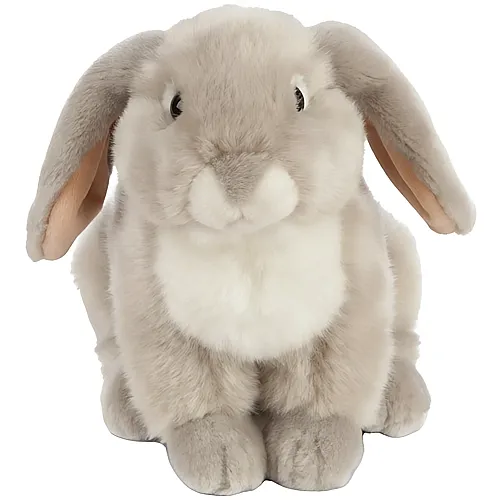 Franzsisches Schlappohr Kaninchen Grau 22cm