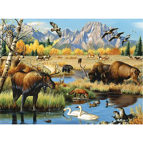 SunsOut Puzzle Cynthie Fisher Wildlife Gathering - 500 Teile
