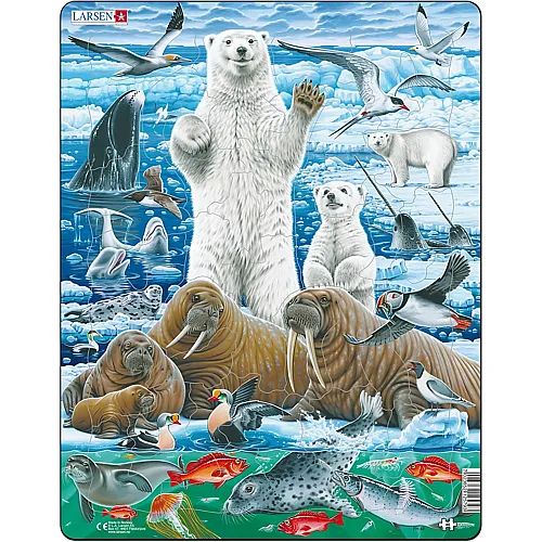 Larsen Puzzle Eisb�r & Walross - 46 Teile