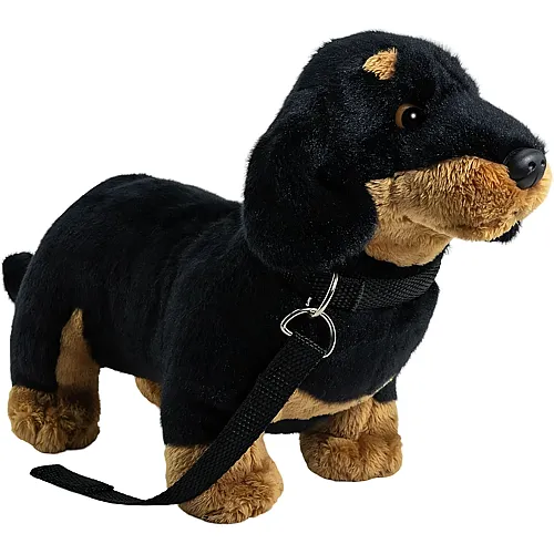 Dackel mit Leine Schwarz - 30 cm