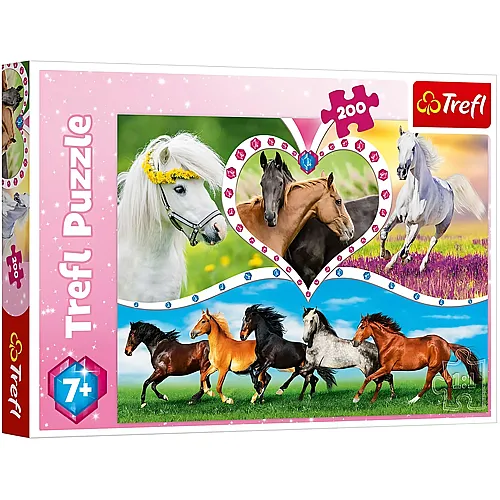 Pferde 200Teile