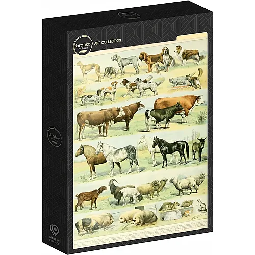 Abbildung aus dem Larousse pour Tous : Säugetiere, 19. Jahrhundert 1000Teile