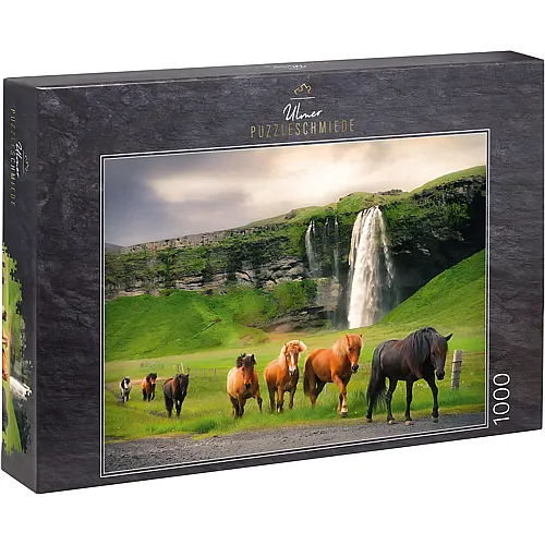 Herde Island-Pferde am Wasserfall Seljalandsfoss in Island 1000Teile