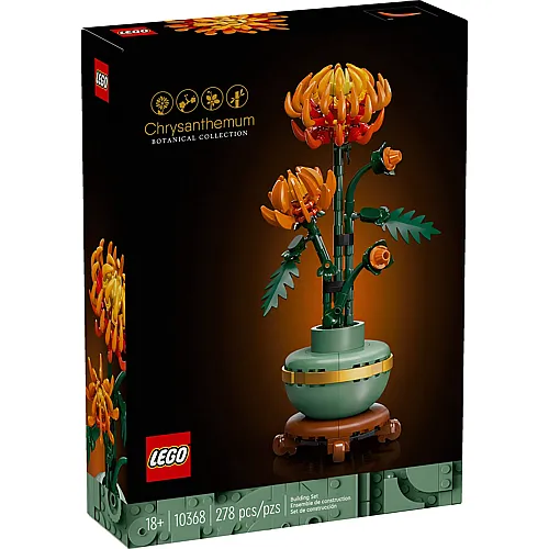 Chrysantheme 10368