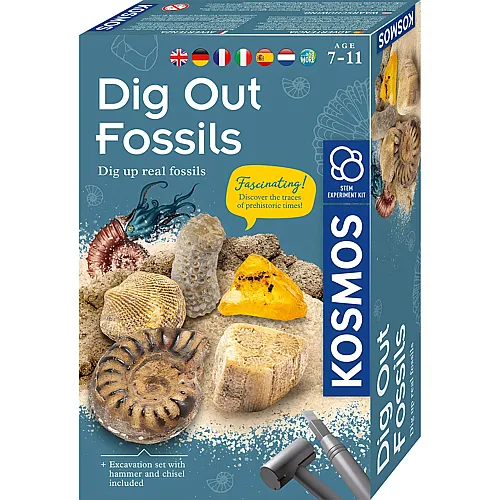Fossilien Ausgrabungs-Set - Mehrsprachig
