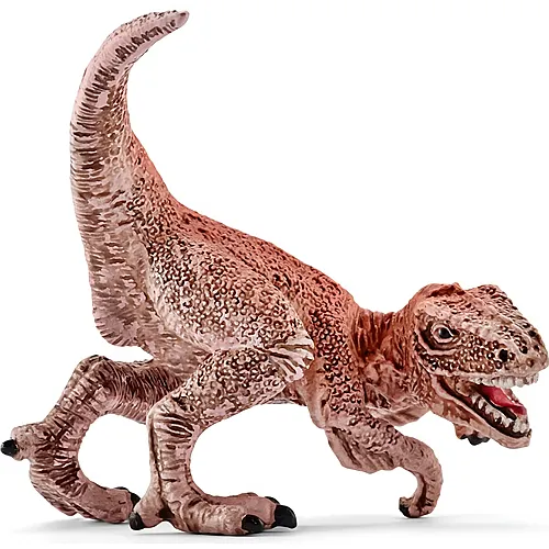 Schleich Dinosaurier Velociraptor Mini