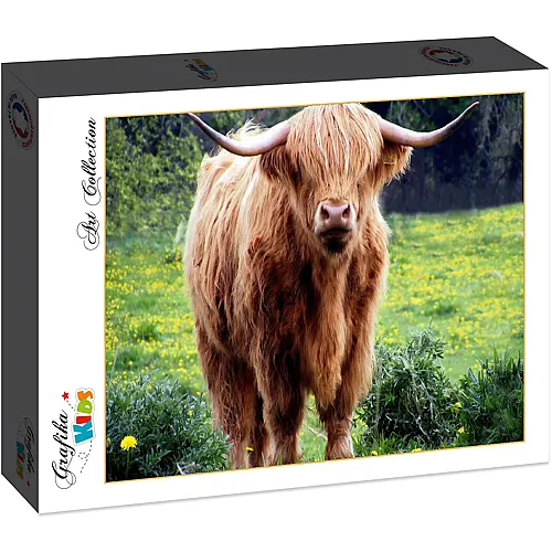 Grafika Puzzle Art Collection Grafika Kids Schottisches Hochlandrind - 12 Teile