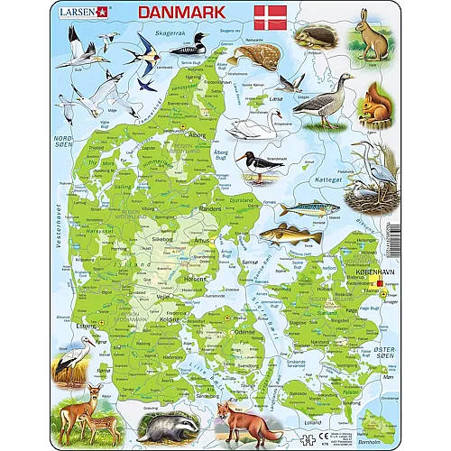 Larsen Puzzle Physische Karte von D�nemark (D�nisch) - 66 Teile