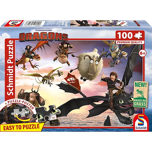 Drachenreiter 100Teile